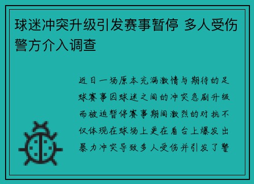 球迷冲突升级引发赛事暂停 多人受伤警方介入调查