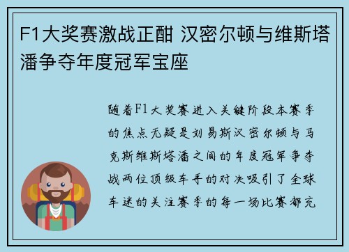 F1大奖赛激战正酣 汉密尔顿与维斯塔潘争夺年度冠军宝座